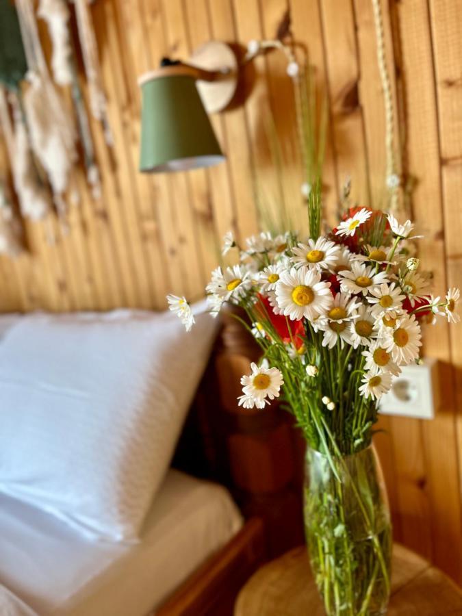Lodge House Girska Rika Korchin